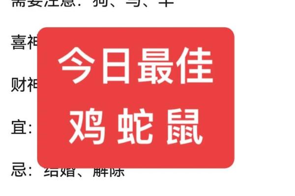 今日生肖运程提示，掌握好运与挑战