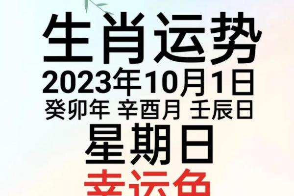 今日生肖运程提示，掌握好运与挑战