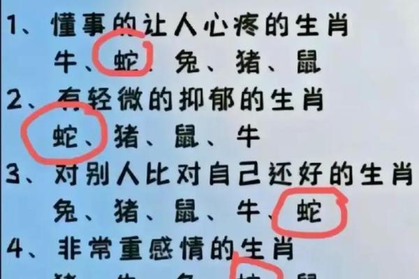 男龙女蛇配对是否天作之合？揭秘生肖情侣的匹配度分析