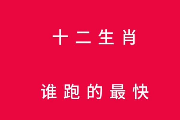 生肖如何迎接的挑战