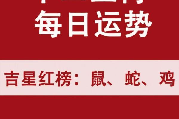 从生肖看今日运势：机会与挑战并存