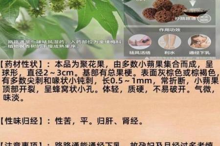 不同地区草的名字及其象征意义