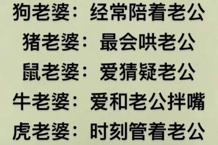 蛇鼠婚姻：能否突破性格差异走到一起