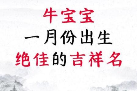 牛姓男宝宝起名推荐：为宝宝选个寓意深远的名字