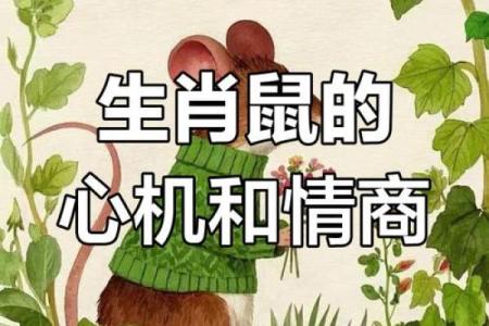 属鼠人如何在本命年与贵人合作