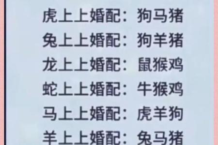 男属龙女属狗的婚配分析及相处建议