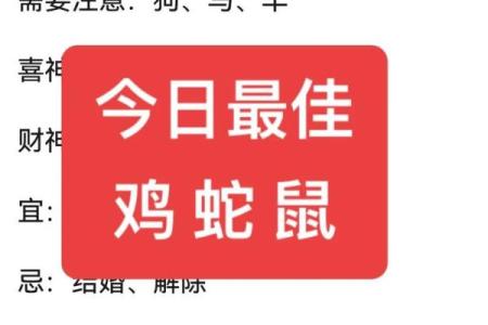 今日生肖运程提示，掌握好运与挑战