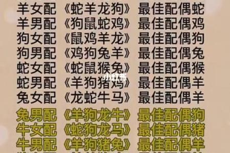 男龙女蛇配对是否天作之合？揭秘生肖情侣的匹配度分析