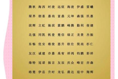 厕所广告公司起名技巧与创意灵感分享
