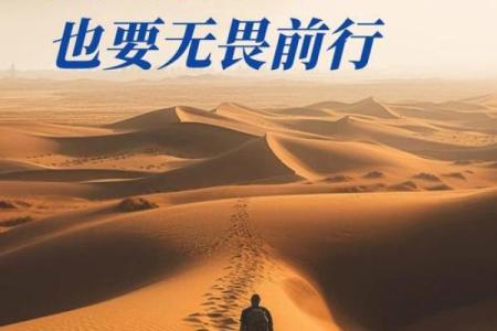 从多劳波涛之命看人生中的艰难挑战