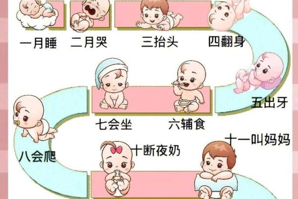 出生属的人生轨迹