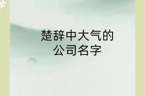 从四字成语中汲取灵感,赋予公司名字新生命 从四字成语中汲取灵感,赋予公司名字新生命