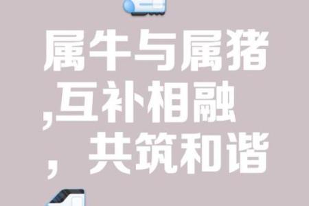 属牛男和属猪女的相配指数有多高