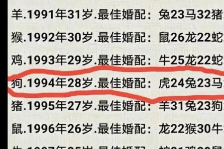 属马女与属虎男的性格匹配度探讨