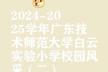 充满活力与创造力的名字