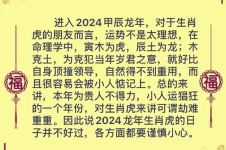 本命年虎男的幸运与挑战