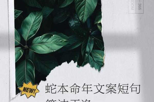 本命年蛇男如何规划未来的职业生涯 本命年蛇男如何规划未来的职业生涯