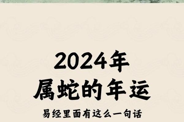 本命年蛇男如何规划未来的职业生涯 本命年蛇男如何规划未来的职业生涯