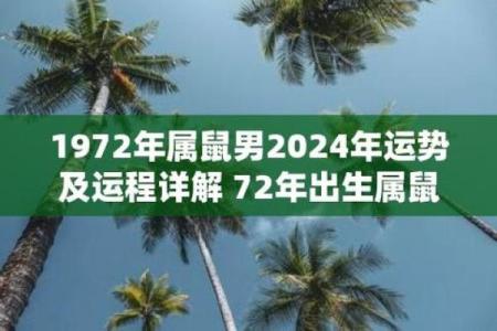 出生属鼠之人的命运解析
