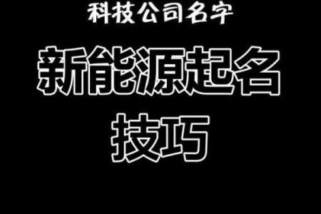创意命名：如何为公司照片选择一个有意义的名字