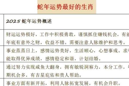 蛇男在本命年中应该如何调整心态