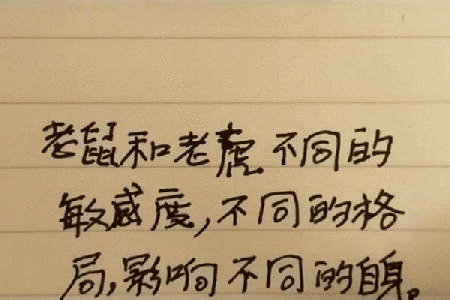 老鼠与老虎的关系揭秘