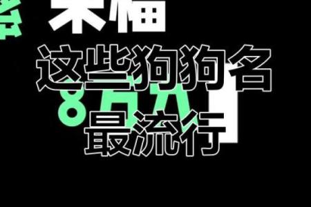 从搞笑到可爱，这些狗名字你一定会爱