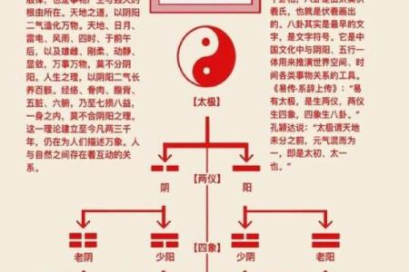 八卦命的基础知识与应用实例