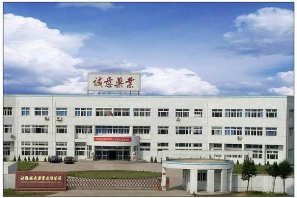 诚意为本,碧绿为心:公司名称背后的深意 诚意为本,碧绿为心:公司名称背后的深意