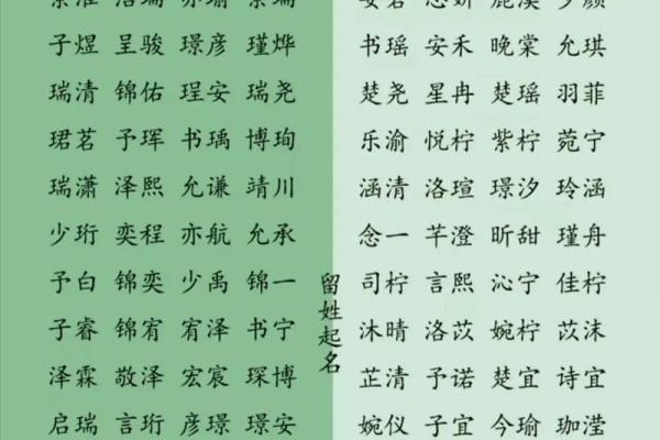 从生日到品牌:为公司起名的个性化方案 从生日到品牌:为公司起名的个性化方案