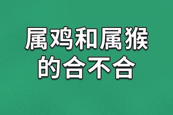 属猴人本命年如何提升家庭和事业的和谐 属猴人本命年如何提升家庭和事业的和谐
