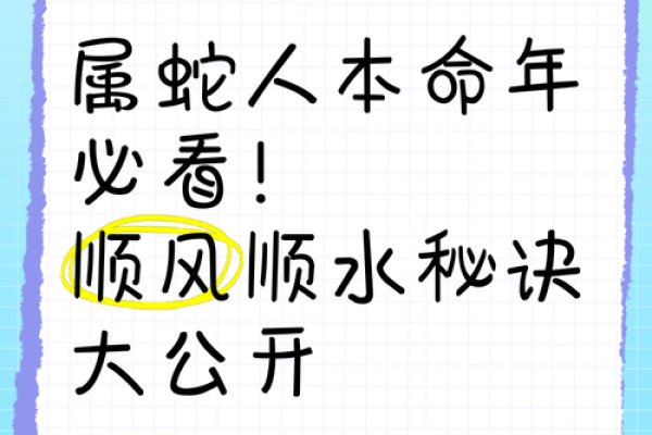 本命年蛇男的财运调整与收入增加策略 本命年蛇男的财运调整与收入增加策略