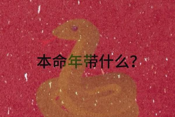 本命年蛇男的财运调整与收入增加策略 本命年蛇男的财运调整与收入增加策略