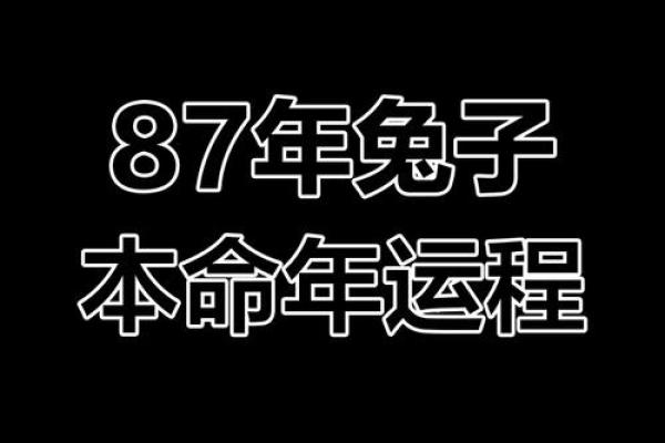本命年兔男如何利用星座优势 本命年兔男如何利用星座优势