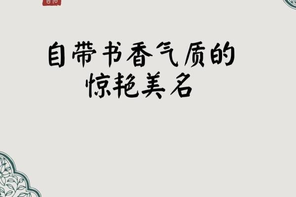 探索全国名字查询平台，揭示你的名字背后含义