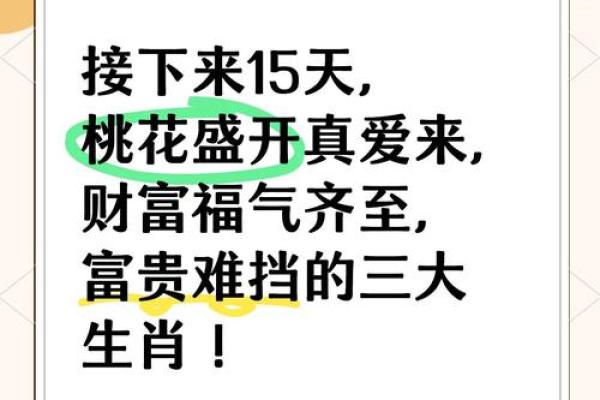属鼠人的运程分析：财富与事业双重突破