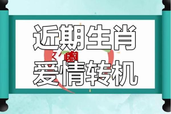 生肖运势运程大解析,财富与爱情双丰收 生肖运势运程大解析,财富与爱情双丰收