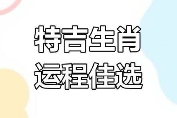 生肖运势运程大解析,财富与爱情双丰收 生肖运势运程大解析,财富与爱情双丰收