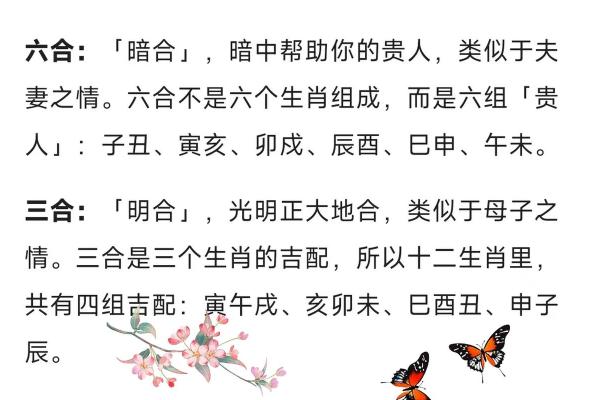 属相相合相克大揭秘：你的配对如何