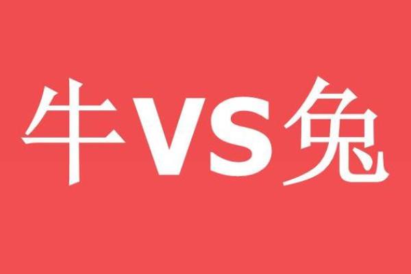 属兔女生和属牛男生的婚配运势解析