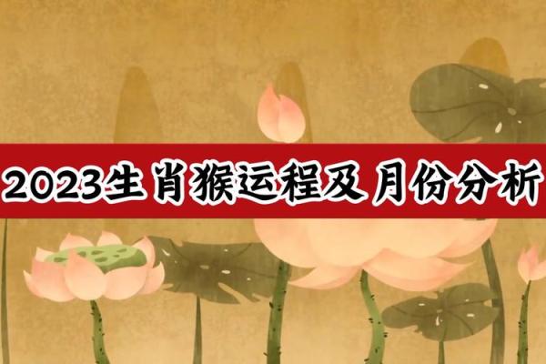 猴年运程:如何把握今年的关键时刻 猴年运程:如何把握今年的关键时刻