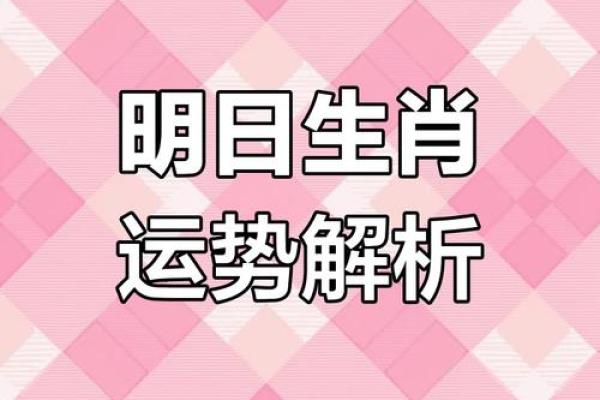 生肖与今日运程:如何根据运势作出明智决策 生肖与今日运程:如何根据运势作出明智决策