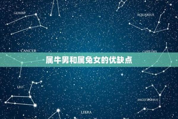 属牛男和属兔女的相处之道