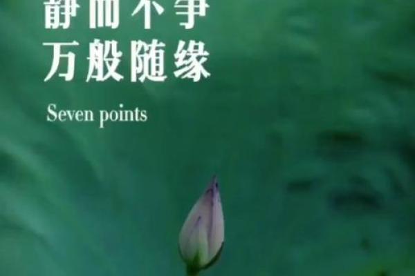 安静生活，安逸人生的完美之选