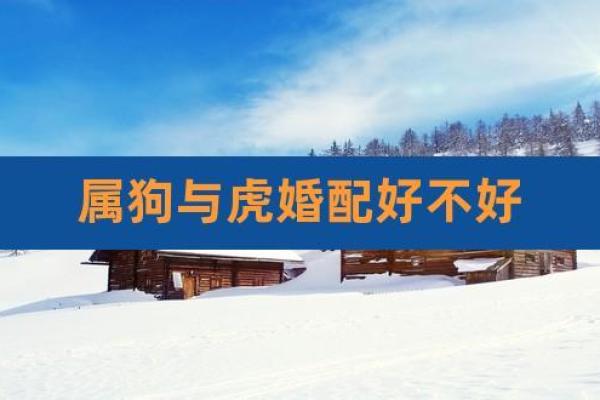 属虎男和属狗女能走到最后吗