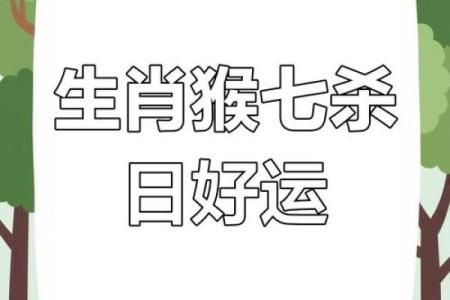 属猴的每月财运、感情运势预测