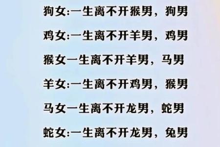 探讨猴龙配对的性格契合度
