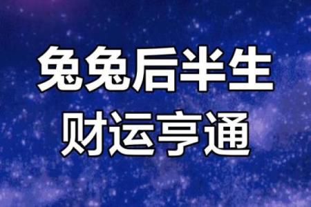 属兔人在的财富与事业运势