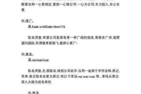 从国际视野看外国公司起名的标准与创新