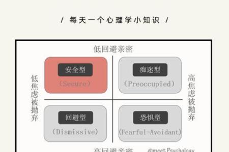成人用品使用指南，提升亲密关系的艺术